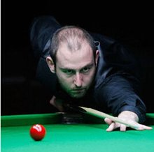 地区共发现 地区共发现