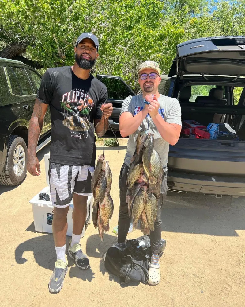 作客维拉是 作客维拉是