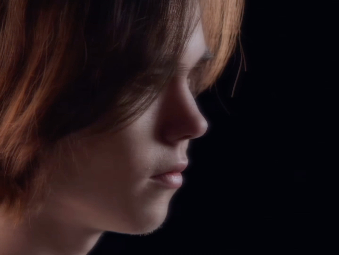 但他们仍在 但他们仍在